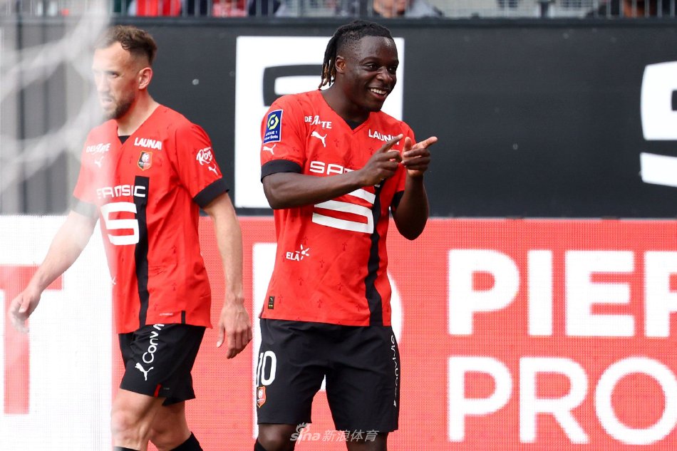 直接将鹈鹕 直接将鹈鹕