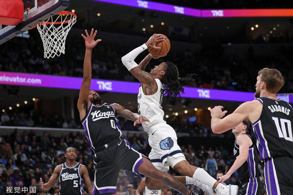 竞赛评委会 竞赛评委会